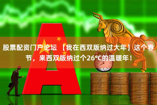 股票配资门户论坛 【我在西双版纳过大年】这个春节,来西双版纳过个26℃的温暖年!
