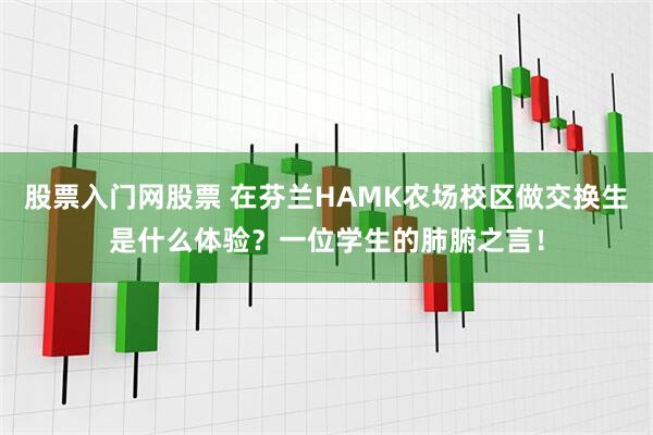 股票入门网股票 在芬兰HAMK农场校区做交换生是什么体验？一位学生的肺腑之言！